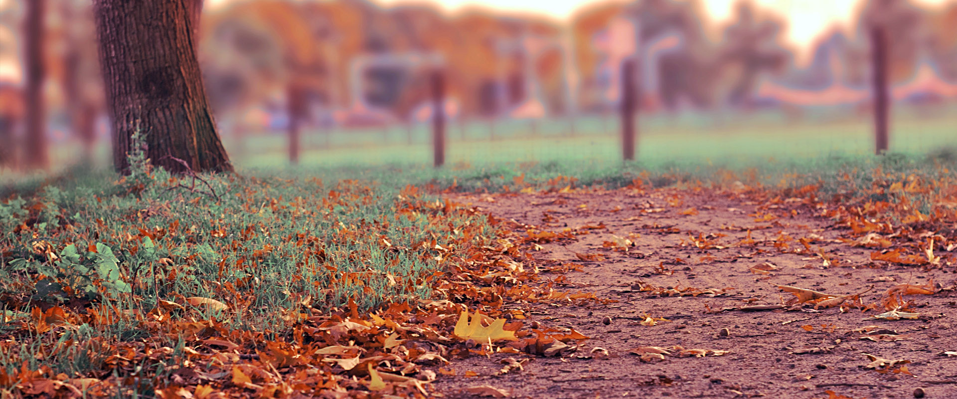 ddos攻击测试工具