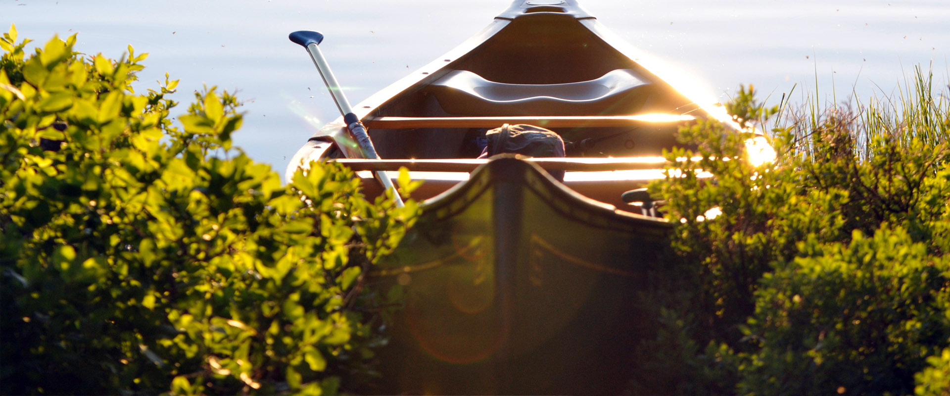 激活门户可靠的服务器攻击方式