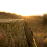 服务器攻击方式