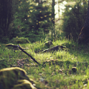 怎么去攻击一个网站与防护