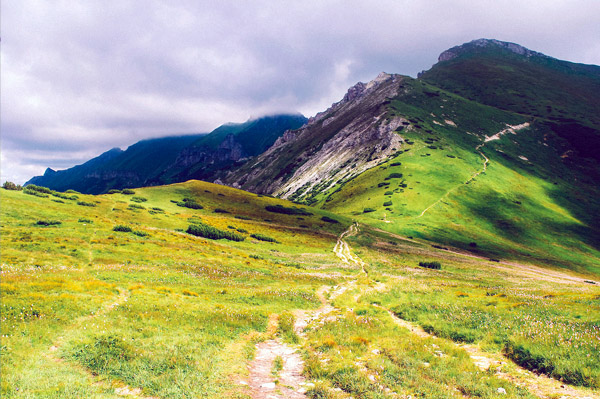 ddos在线攻击测试网站