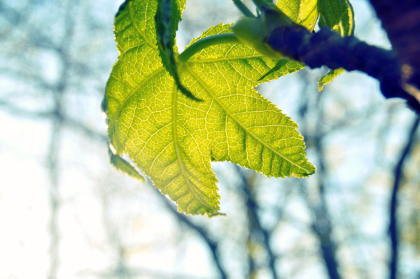 ddos在线攻击测试网站